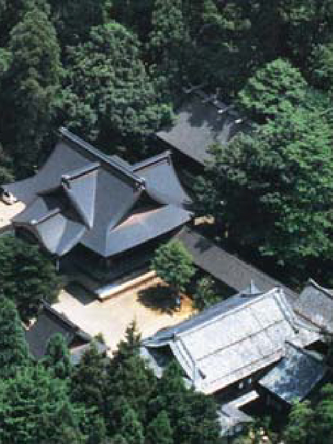 神社上空写真